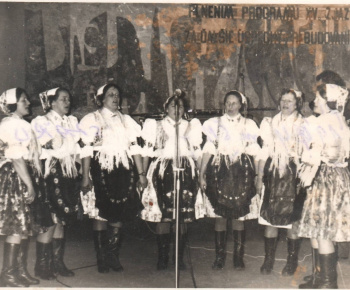 Aktuality / ALTÁNOK pri škole  - foto